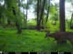 Picture of Beaverdam Farm North - Wilkes County, GA