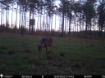 Picture of Beaverdam Farm North - Wilkes County, GA