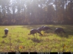 Picture of Beaverdam Farm North - Wilkes County, GA