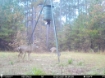 Picture of Beaverdam Farm North - Wilkes County, GA