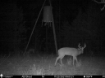 Picture of Beaverdam Farm North - Wilkes County, GA