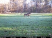 Picture of Beaverdam Farm North - Wilkes County, GA