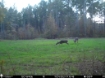 Picture of Beaverdam Farm North - Wilkes County, GA