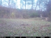 Picture of Beaverdam Farm North - Wilkes County, GA
