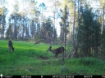 Picture of Beaverdam Farm North - Wilkes County, GA