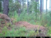 Picture of Beaverdam Farm North - Wilkes County, GA
