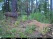 Picture of Beaverdam Farm North - Wilkes County, GA