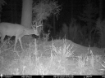 Picture of Beaverdam Farm North - Wilkes County, GA