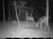 Picture of Beaverdam Farm North - Wilkes County, GA