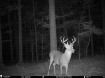 Picture of Beaverdam Farm North - Wilkes County, GA