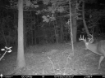 Picture of Beaverdam Farm North - Wilkes County, GA