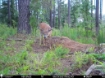 Picture of Beaverdam Farm North - Wilkes County, GA