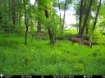 Picture of Beaverdam Farm North - Wilkes County, GA
