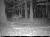 Picture of Beaverdam Farm North - Wilkes County, GA