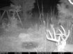 Picture of Beaverdam Farm North - Wilkes County, GA