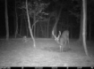 Picture of Beaverdam Farm North - Wilkes County, GA