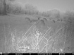 Picture of Beaverdam Farm North - Wilkes County, GA