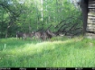 Picture of Beaverdam Farm North - Wilkes County, GA