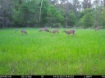 Picture of Beaverdam Farm North - Wilkes County, GA