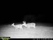 Picture of Beaverdam Farm North - Wilkes County, GA