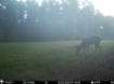 Picture of Beaverdam Farm North - Wilkes County, GA