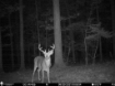 Picture of Beaverdam Farm North - Wilkes County, GA