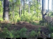Picture of Beaverdam Farm North - Wilkes County, GA