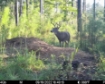 Picture of Beaverdam Farm North - Wilkes County, GA