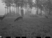 Picture of Beaverdam Farm North - Wilkes County, GA