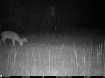 Picture of Beaverdam Farm North - Wilkes County, GA