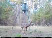 Picture of Beaverdam Farm North - Wilkes County, GA