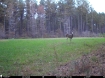 Picture of Beaverdam Farm North - Wilkes County, GA
