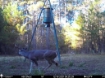 Picture of Beaverdam Farm North - Wilkes County, GA