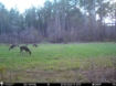 Picture of Beaverdam Farm North - Wilkes County, GA
