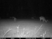 Picture of Beaverdam Farm North - Wilkes County, GA