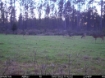 Picture of Beaverdam Farm North - Wilkes County, GA