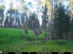 Picture of Beaverdam Farm North - Wilkes County, GA