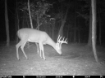Picture of Beaverdam Farm North - Wilkes County, GA