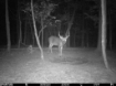 Picture of Beaverdam Farm North - Wilkes County, GA