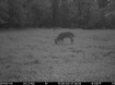 Picture of Beaverdam Farm North - Wilkes County, GA