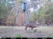 Picture of Beaverdam Farm North - Wilkes County, GA