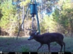 Picture of Beaverdam Farm North - Wilkes County, GA