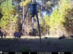 Picture of Beaverdam Farm North - Wilkes County, GA