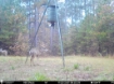 Picture of Beaverdam Farm North - Wilkes County, GA