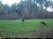 Picture of Beaverdam Farm North - Wilkes County, GA