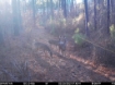 Picture of Beaverdam Farm North - Wilkes County, GA