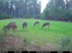 Picture of Beaverdam Farm North - Wilkes County, GA