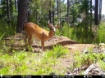 Picture of Beaverdam Farm North - Wilkes County, GA