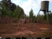 Picture of Beaverdam Farm North - Wilkes County, GA