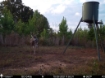 Picture of Beaverdam Farm North - Wilkes County, GA